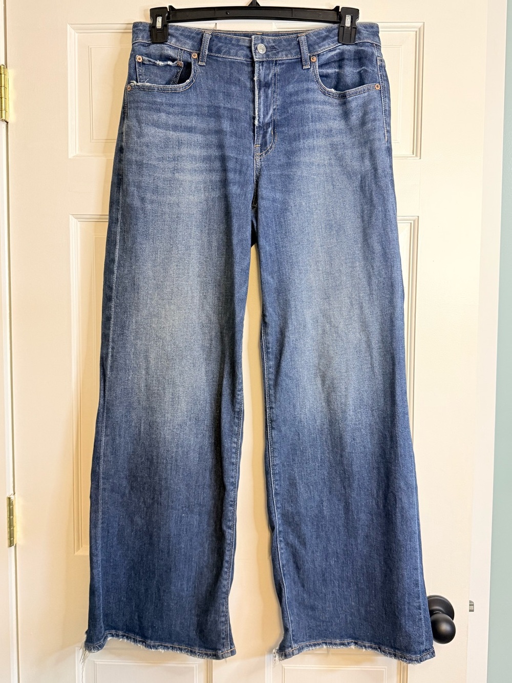 American Eagle Low-Rise Baggy Wide Leg Jean